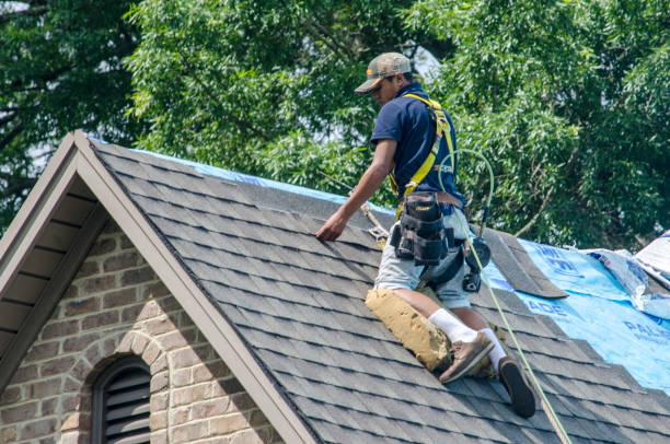 Best Roof Maintenance Services  in Salmon Brook, CT